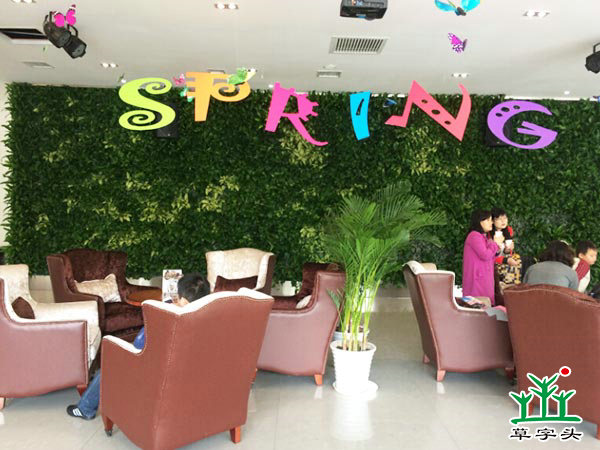 長(zhǎng)沙陽(yáng)光100——立體綠化、垂直綠化、墻體綠化、植物墻