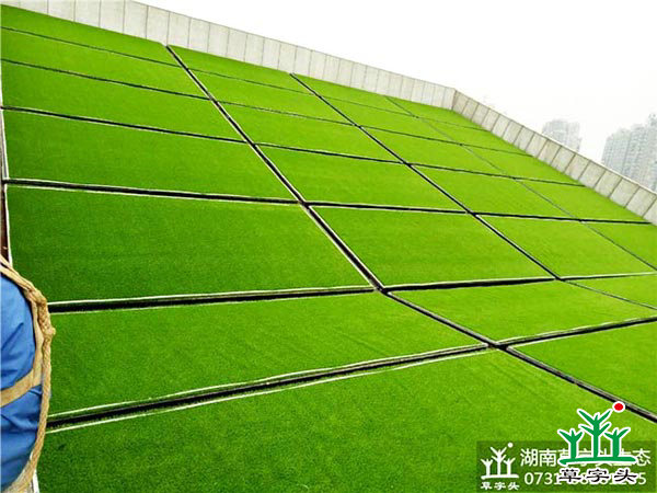 湘潭市博物館與規(guī)劃館，屋頂人造草皮綠化施工案例