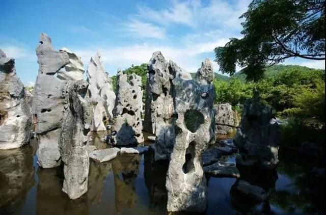 湖南草字頭生態(tài)環(huán)境建設有限公司,人造草坪假草皮,湖南雨水收集處理工藝